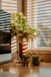 resized_102907
